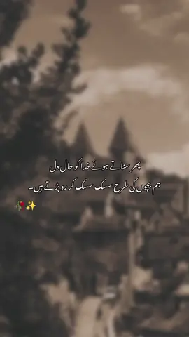 #creatorsearchinsights #fypppppppppplllpppppppppppppppppppppppppppppppp #viralpoetry 