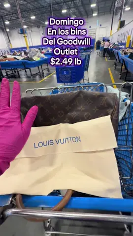 Tesoros en el goodwill 😍♻️ #bins #binstore #goodwill #thriftstorefinds #thrift 