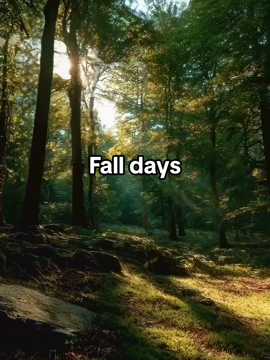 Fall Days are coming 🌿🍃🍂🍁 @Awetumn_feels  . . . #falldays #fall #autumn #foryoupage #foryou  🌿🌿🌿 Embrace the Cozy Fall Vibes ​fall aesthetic ​fall vibes ​forestcore ​autumn vibes ​autumnal ​autumn aesthetic ​autumn leaves ​falltok ​autumntok otoño  photography fallvibes autumnaesthetic