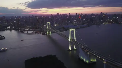 东京的景色真的太美了，生活在这里很幸福。#日本 #japan #tokyo #view #nightview #东京 #life #night 
