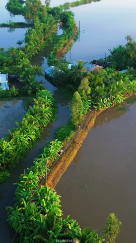 bậu sang phà rạch miễu, qua lẽo đẽo theo sau... Cảnh đẹp miền tây, Phong Cảnh quê hương nhẹ nhàng bình yên #mientay #huynhphutien #fyp #vietnam 