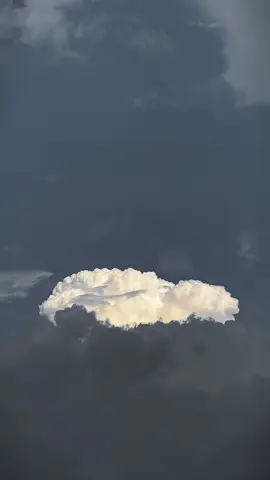 Thở đi nào #chillvibes #cloud #camgiacbinhyen #songcham #gocthoigian #binhan #chánhniệm #chualanh #hanhphuc 