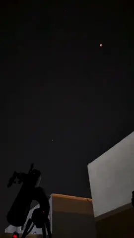 #صالح_الفوزان 
