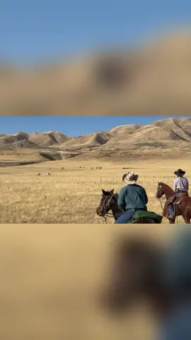 The Coyote and the Cowboy in real life #cowboy #colterwall #fyp #tiktok #western 