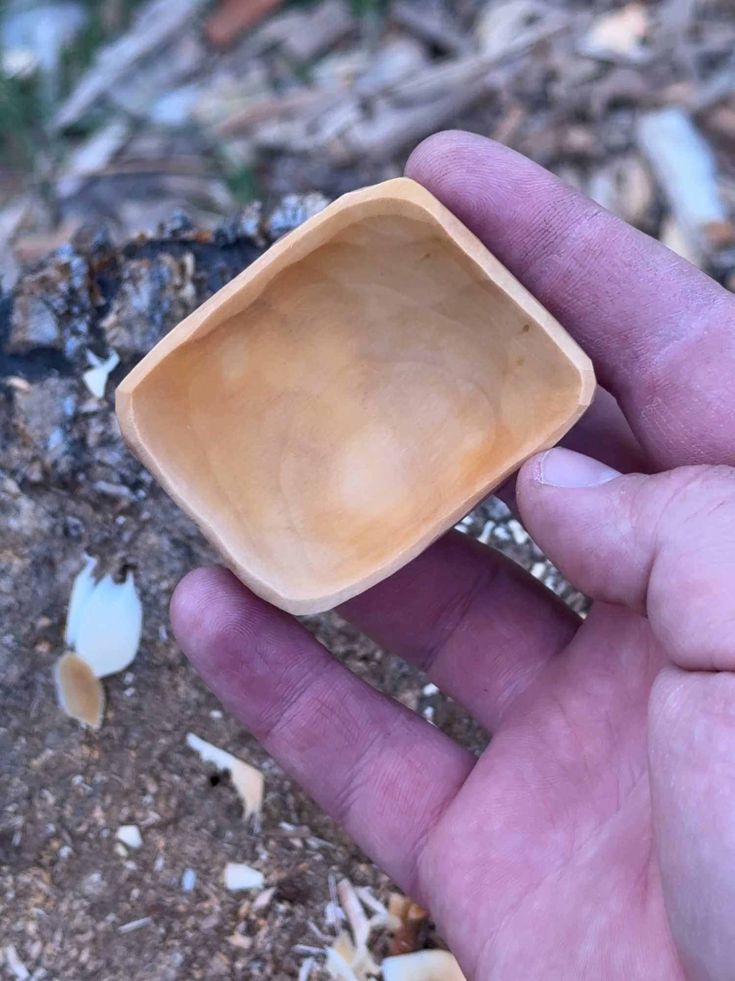 Small wood is easier to hold. #asmr #woodcarving #woodworking #bushcraft