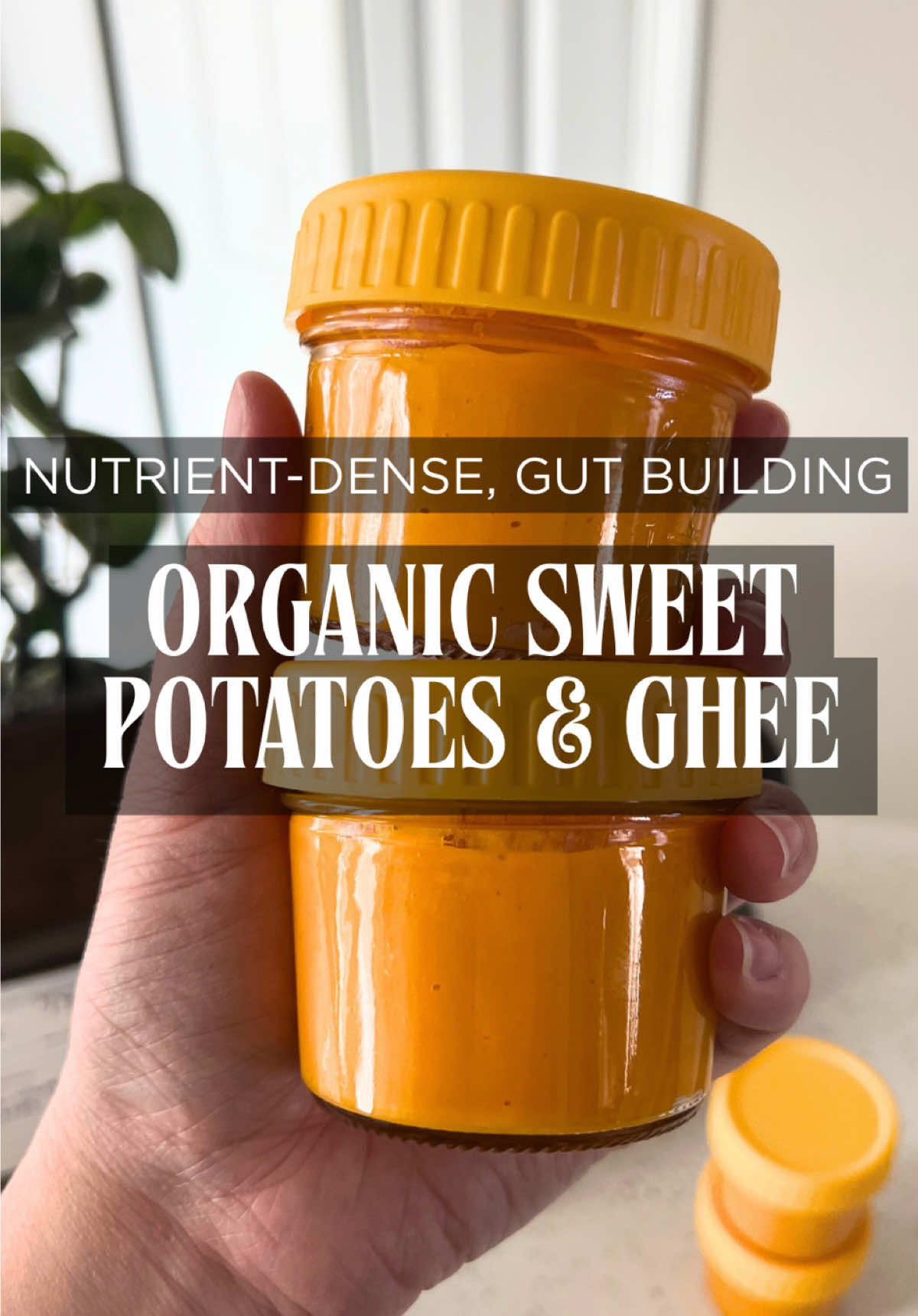 Building a baby’s gut + brain starts with their first foods 👶💛 🍠 Sweet potato → soluble fiber feeds good gut bacteria + beta-carotene for immunity 🧈 Ghee → healthy fats + butyrate support gut lining + nutrient absorption 🌿 Cinnamon → gentle flavor exposure + digestion support 🥄 First foods matter → laying the foundation for long-term gut + brain health #BabyFoodIdeas #fyp #HolisticMama #CrunchyMom #FirstFoods
