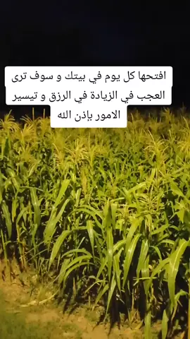 افتحها كل يوم في بيتك و سوف ترى العجب في الزيادة في الرزق و تيسير الامور بإذن الله #القران_الكريم_راحه_نفسية😍🕋 #fyp #قران_كريم #القران_الكريم 