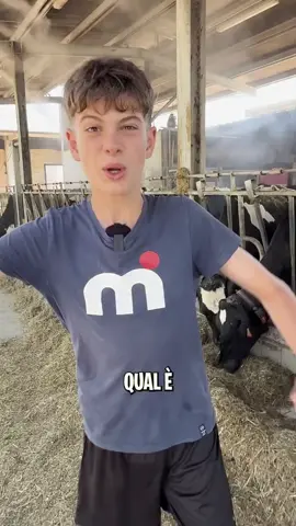 Ottima spiegazione, grazie per il bel Cowboy 