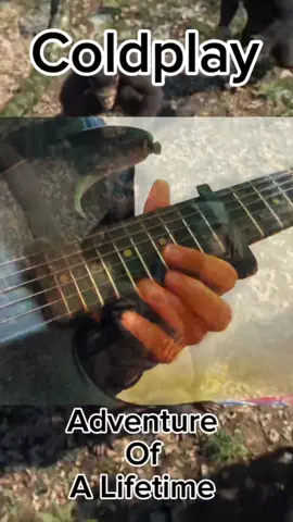 Coldplay - Life Of A Lifetime #coldplay #lifeofalifetime #viraltiktokvideo #guitar #guitarcover 