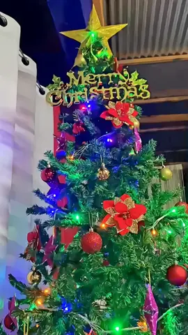 ADVANCED MERRY CHRISTMAS EVERYONE!! 🎄🌺🫶 #christmas #ChristmasDecor #decorations #BudgetFriendlyDecor 
