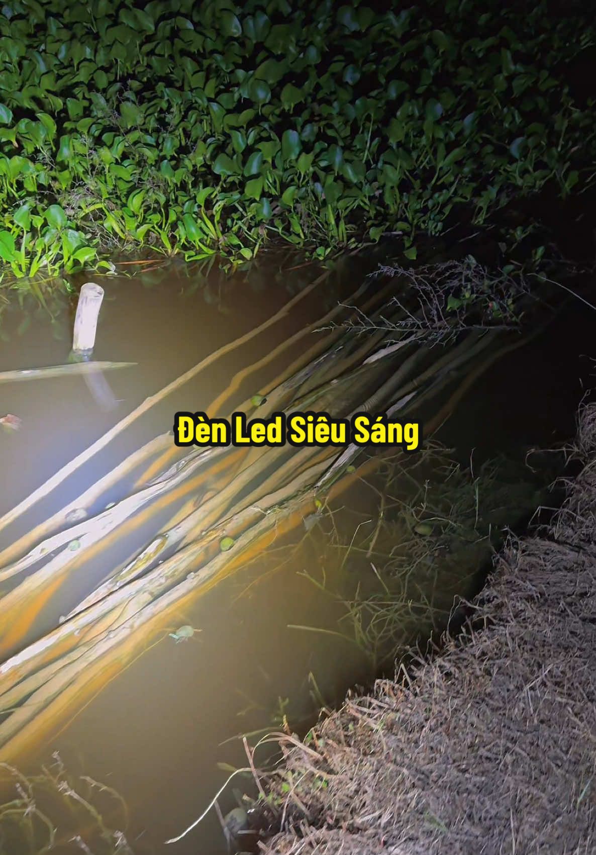 Đèn Led 55 Bóng Siêu Sáng Dùng Đi Đêm Oke Lắm Nha Mọi Người #hienonha 