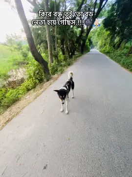 মেনশন করুন আপনার এরকম একটা নেতা বন্ধুকে.!!!🌚 #fypシ゚viral🖤tiktok #foryou #viralvideo #fanyvideo #tanding @TikTok 🫶🏻