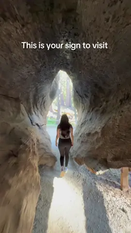 Truly magical place 🤎🍃🪾 #travel #Hiking #sequoianationalpark #scenery #fypシ 