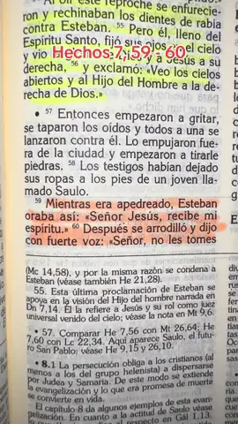 Hechos 7, 59-60 describe el momento del martirio de Esteban, quien, siendo apedreado, pide al Señor Jesús que reciba su espíritu y clama a Dios que no culpe a sus perseguidores por ese pecado, mostrando su completa fe y entrega a Cristo en su muerte. 
