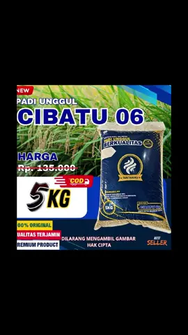 Benih padi unggul berkualitas #merek terpercaya 