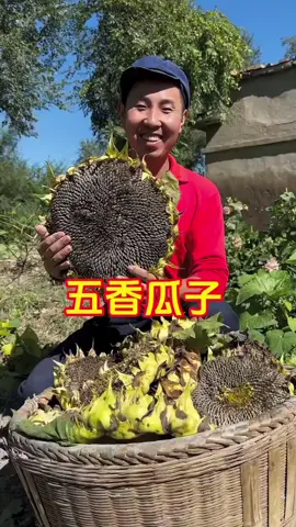 #mrbiao #mrbiaochina 