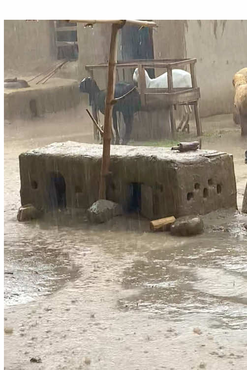 Heavy rain in the village #rain #village