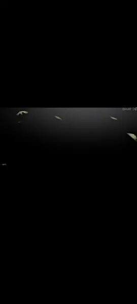 suara nya bikin candu #stukasiren #fyp #video #sejarahdunia #sirineterseram 