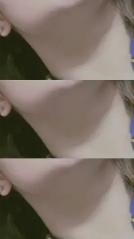 @لالک خون خیل