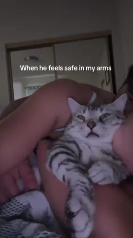 Sweetest baby fr #babybruno #cats #fyp #cats 