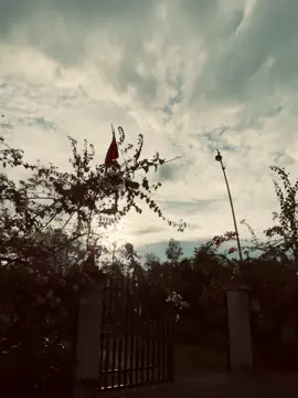 一万人宠爱，不等于一个懂人，一万个追求者，不等于一个爱人。 