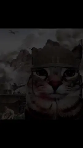 War is not fun💔 #waroftheworlds #robloxfyp #meme #xyzbcafypシ #xyzabc 