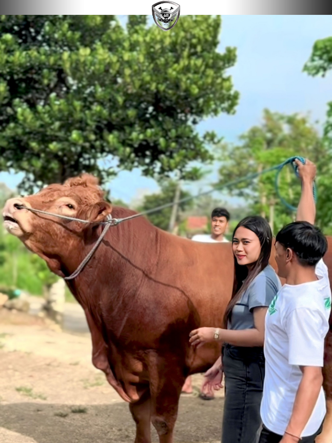 Coba Collabs Lagi Mas 🤣 #MASIYUN #OSCARFARM #LIVE #tiktok #RIDHOFTN 