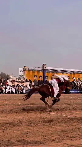 #punjabclubofpakistan #Science_1967 #equestrian #nazabazi #fyp 