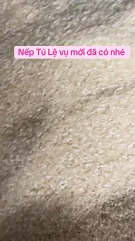 Nếp Tú lệ vụ mới thơm ngon hết sảy#yenbaithai #đacsantaybac #xuhuong2025 #videoviral 