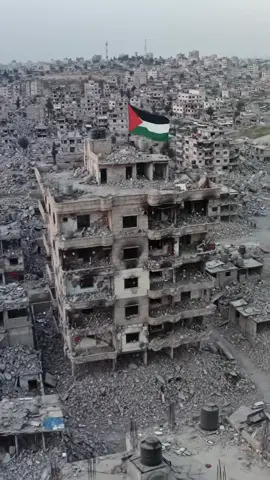 فلسطين حرة، أحبك🇵🇸#freepalestine🇵🇸❤️ #gaza 