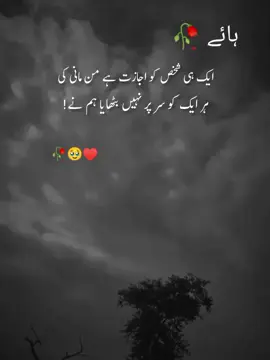 ایک ہی شخص کو اجازت ہے من مانی کی ہر ایک کو سر پر نہیں بٹھایا ہم نے 🥹🥹♥️♥️💯💯#fpyシ #forupage#viralvideotiktok #onemillionview #unfreezemyacount 