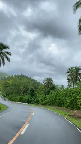Ito na e rereveal kuna kung ano yung ginagamit kong phone holder at bakit stable ang kuha ko sa mga video ko click nyu nalang sa yellow basket mga perds 😙🍃🏍️#naturevibes #fyp #trending #rides #rides 