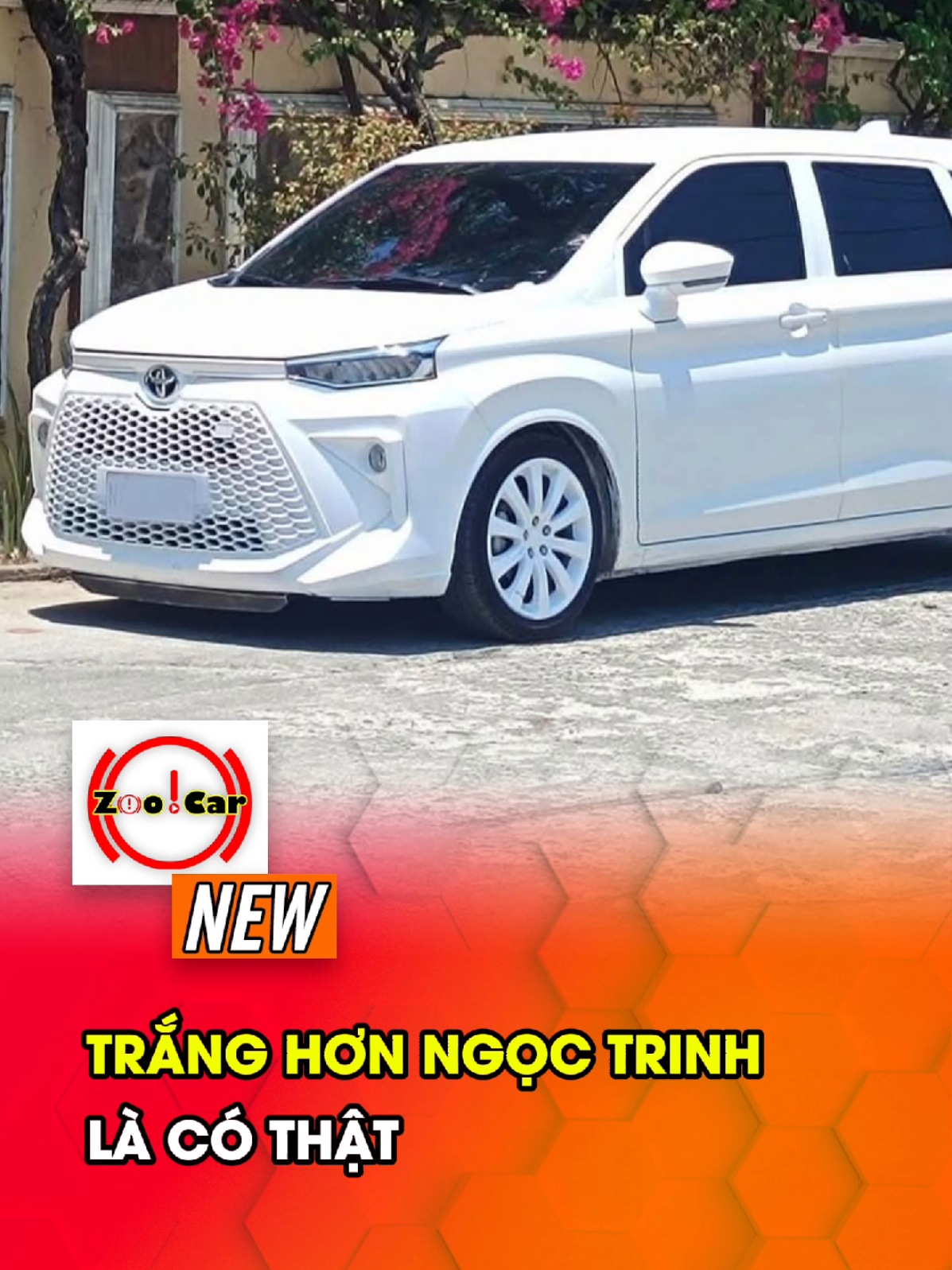 Trắng như Ngọc Trinh là có thật #zoocar 