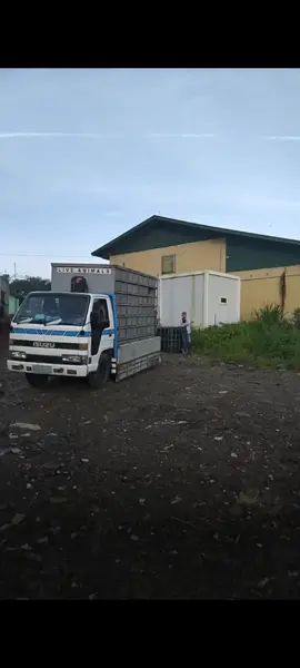 DHPC RELEASE OLONGAPO, ZAMBALES CTTO #kalapatids #pigeon #foryoupage #fyp 