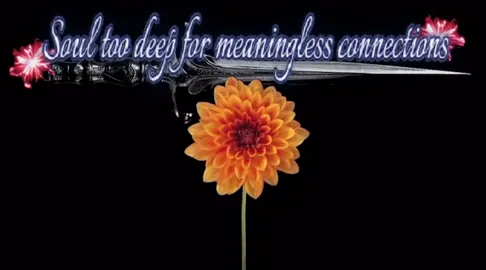 #flowers #soultoodeepformeaninglessconnections 