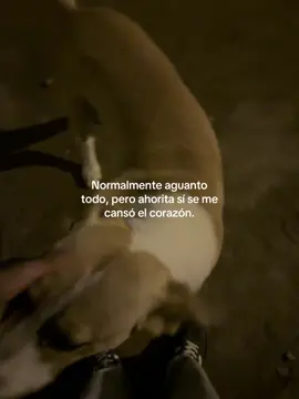 Mis días están siendo duros 