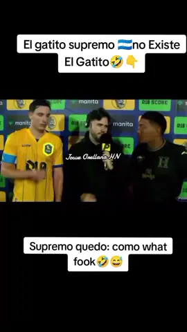 El gatito supremo #foryoupage #foryou #viral #paratiiiiiiiiiiiiiiiiiiiiiiiiiiiiiii #fyp 