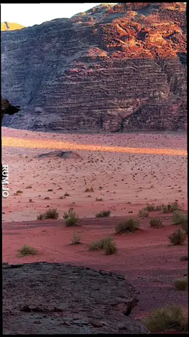 اللي يعزك مايشوف الردى فيك…ومن يكرهكحتى بخيرك يذمك. #طبيعة 