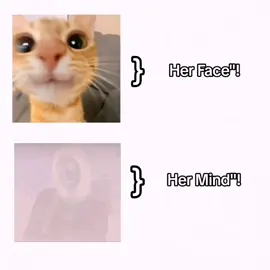 Frr