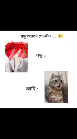 আমার গেংস্টার বন্ধু 🙂