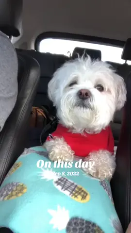 #onthisday 