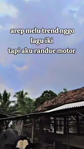 opo enek e wae lah#mandirijayafarm #promoseruweekend #wongpusat #tukangngaritindonesia #sapikece 