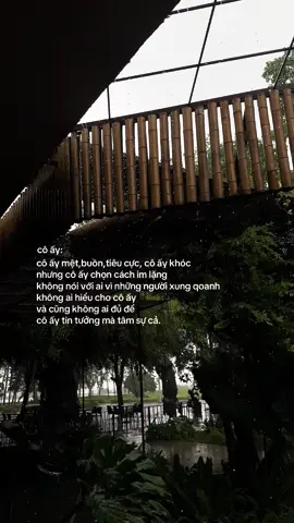 #thienquocc08 #xuhuong #viral #fyp 