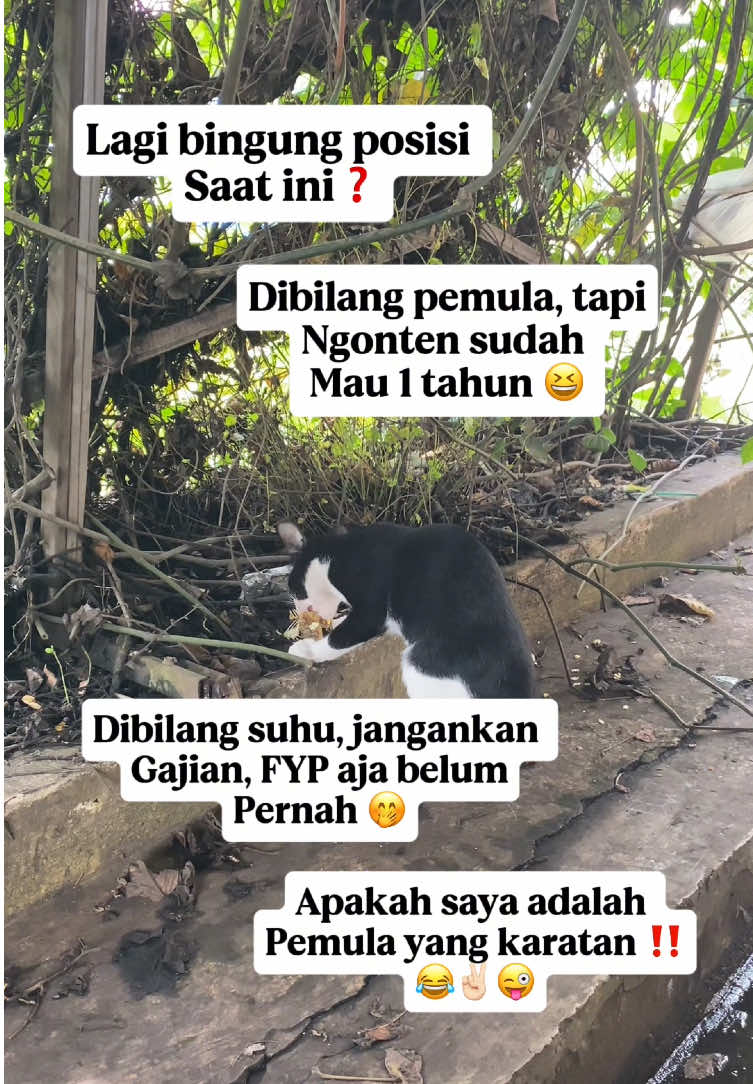 Konten hiburan fbpro ✌🏻🤭#konten #reels #fbpro #fyp #CapCut 