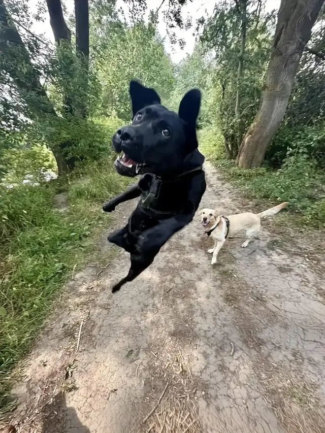 #xuhuong #lienquanmobile #xhhhhhhhhhhhhhhhhhhhhhhhhhhhhh #fyp #foryou 