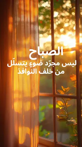 من بدأ نهاره بالشكر خُتم يومه بالبركة#صباح_الخير #اقتباسات #الحياة #اقتباسات📝 #عبرات_جميلة_وقويه😉🖤 