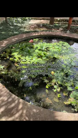 @Thet Htar Eain💐သိလား”😭#view #fypシ゚ #tiktok 