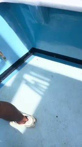 #fishing #montauk #longislandnewyork #fyp