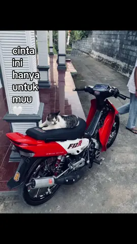 #fizr #fizr_2stroke #4u 