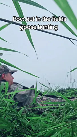 #goosehunter #foryou #foryoupage #foryourpage #hunting 